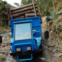 農用四不像 毛竹運輸車 木材 四驅爬山王 果園可定制廠家價格