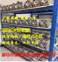 廠家供應家用電梯3KW油浸式電機