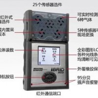 英思科MX6復合氣體檢測儀