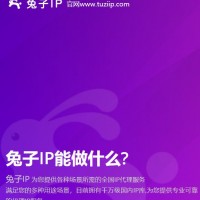 高質量代理IP首選兔子動態IP滿足對IP的一切業務需求