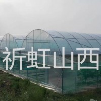 忻州神池縣農業大棚 八角鎮蔬菜種植棚