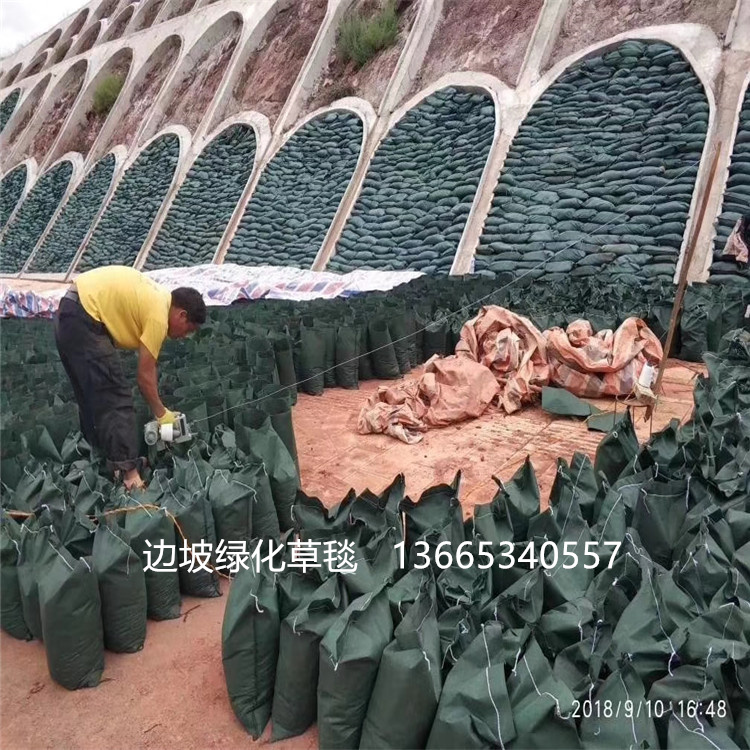 綠化生態袋 草籽生態袋 邊坡綠化植生袋 廠家批發