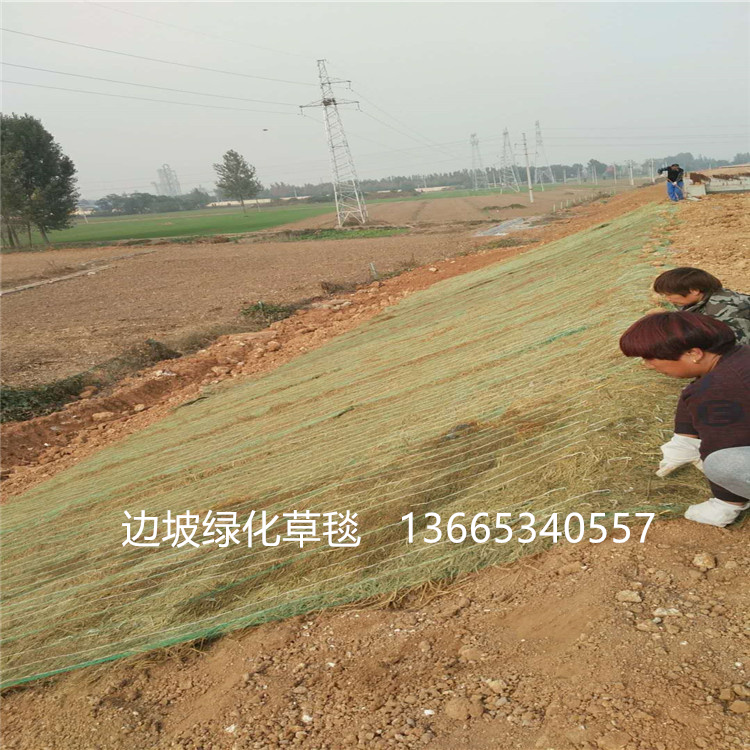 植生毯廠家貨源 護坡環保草毯 植物纖維毯 批發價格