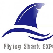 河南飛鯊展覽有限公司