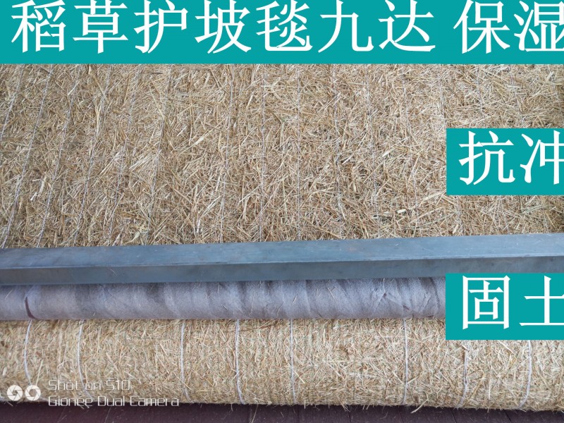 草籽護坡椰絲毯 植被毯廠家供應